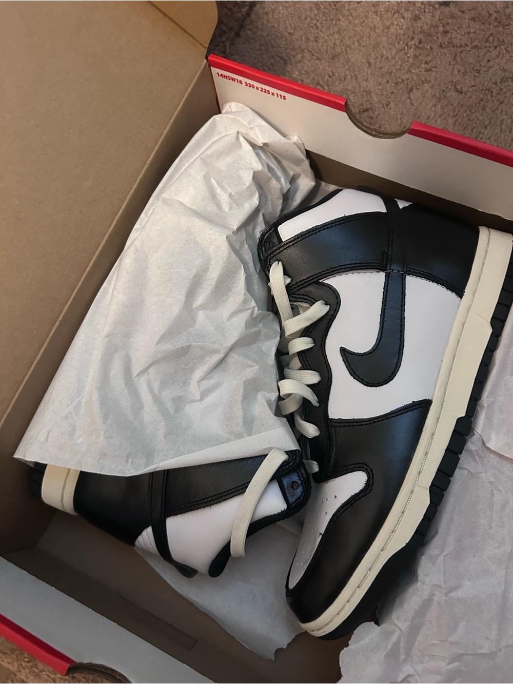 Nike Women Dunk High Sneakers in White and Black